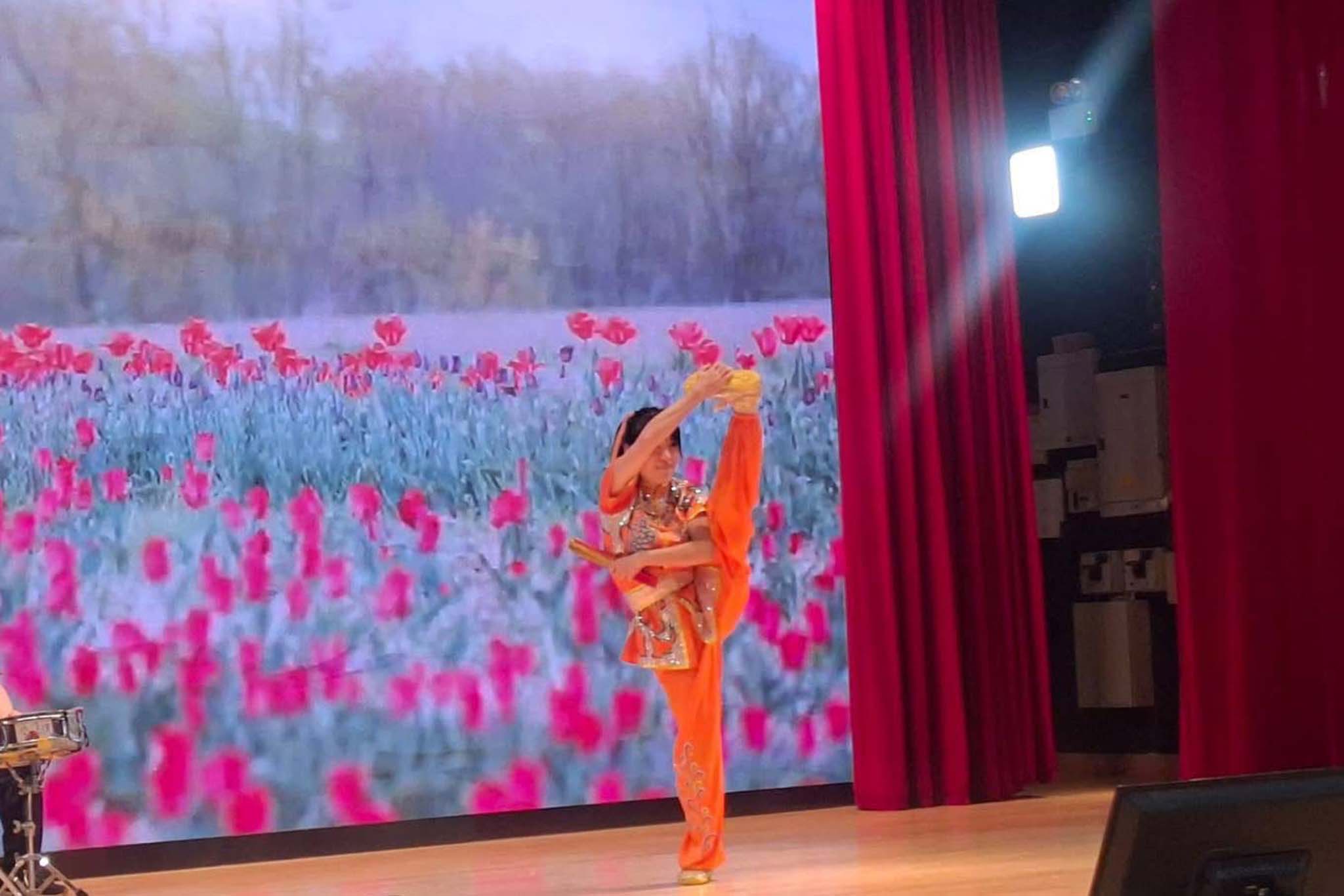 傳統拳術表演