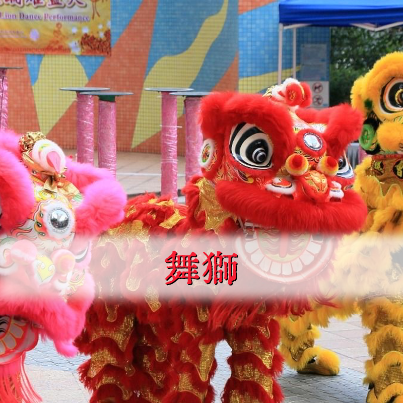 中華文化到校表演