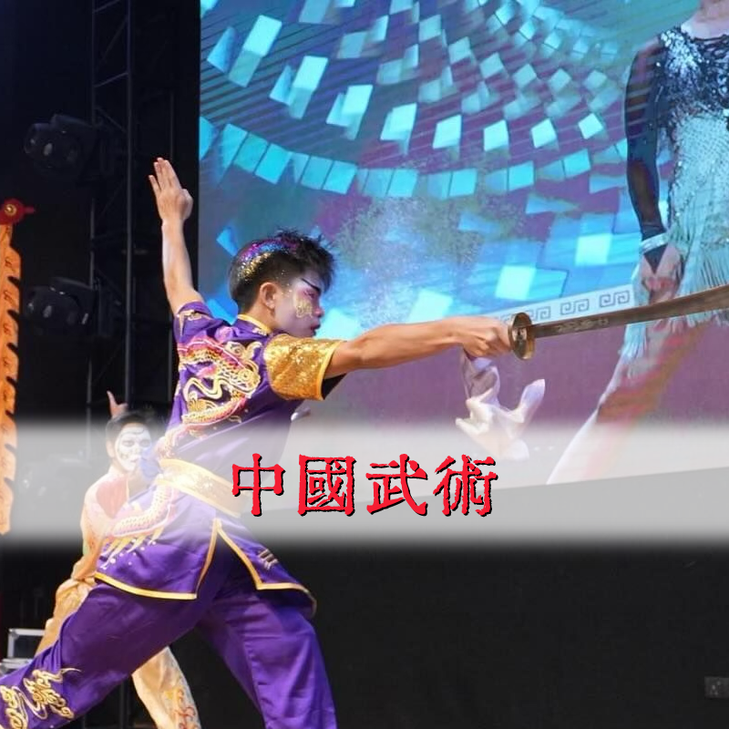 中華文化到校表演